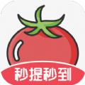 番茄畅看视频最新版app下载 v1.10.54