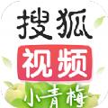 搜狐视频下载安装官方版ios v9.8.60