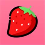 草莓樱桃丝瓜绿巨人秋葵番茄