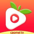 草莓视频app下载安装无限看-丝瓜安卓苏州晶体公司黄