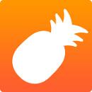 大菠萝app下载汅api免费大全无限制