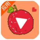 杨莓视频app官方版