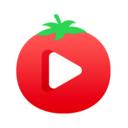 番茄视频安卓客户端