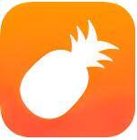 菠萝视频播放器app