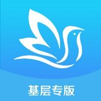 百灵健康基层医生app专版(百灵医生居民端)