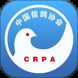 中国信鸽协会手机版