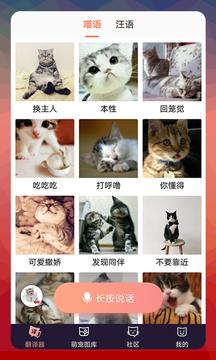 猫语翻译器app免费版app免费版app免费版app免费版app免费版