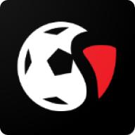 球神直播体育足球app