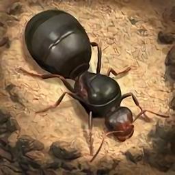 小小蚁国国际版最新版(The Ants)