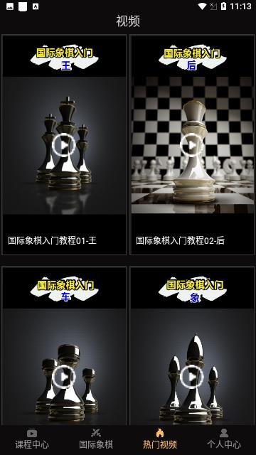 国际象棋大师无广告版截图2