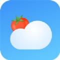 番茄天气预报app官方版