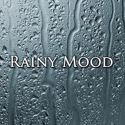 Rainy Mood汉化安卓版