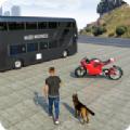城市巴士公交模拟器(Bus games city bus simulator)