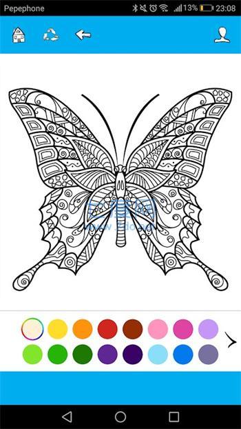 蝴蝶着色(Butterfly Coloring)截图2