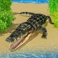 鳄鱼游戏饥饿的动物(Crocodile Games: Hungry Animal)